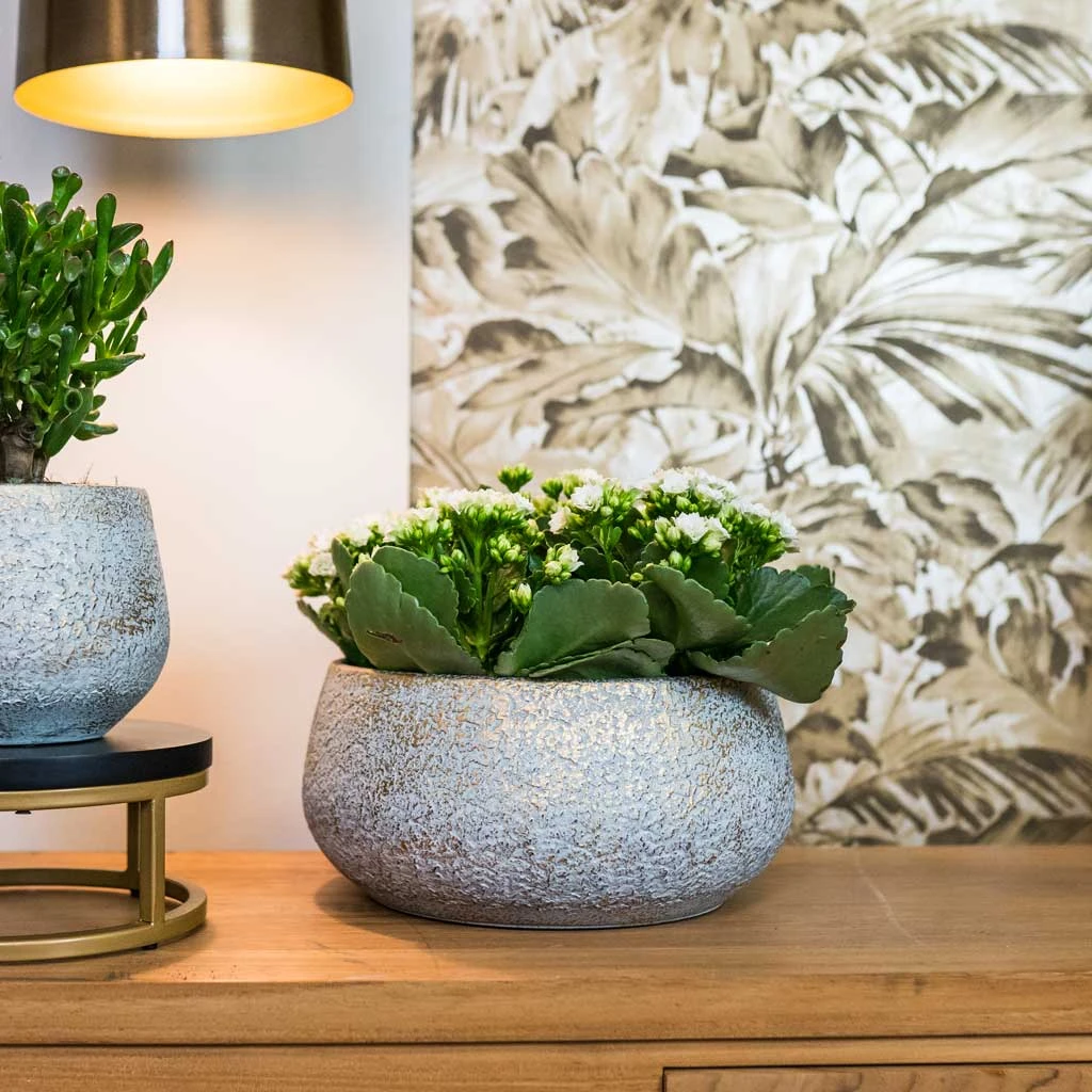 Noor Plant Bowl - Metallic Grey 2 Noor Plant Bowl - Metallic Grey - Image 2