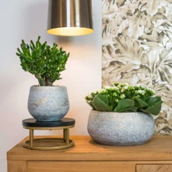 Noor Plant Bowl - Metallic Grey 10 Noor Plant Bowl - Metallic Grey -Outlet The Ever Sprout Store Noor metalic grey 01