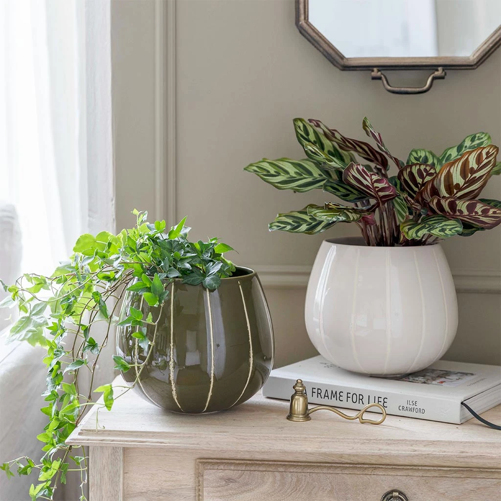 Nova Plant Pot - Cream 2 Nova Plant Pot - Cream - Image 2