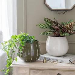 Nova Plant Pot - Green 10 Nova Plant Pot - Green -Outlet The Ever Sprout Store Nova Plant Pot Cream 23 x 18cm 11781764 6d1a 4491 88d6 b6d75afe7217