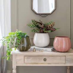 Nova Plant Pot - Cream 10 Nova Plant Pot - Cream -Outlet The Ever Sprout Store Nova Plant Pot Rose 23 x 18cm 2