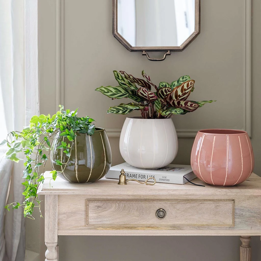 Nova Plant Pot - Cream 5 Nova Plant Pot - Cream - Image 5