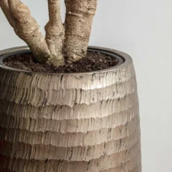 Opus Hammered Partner Planter - Gold -Outlet The Ever Sprout Store Opus Hammered Partner Planter Gold 1