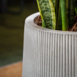 Patt High Plant Vase - Ridged Cement -Outlet The Ever Sprout Store PattHighPlantVase RidgedCement 2