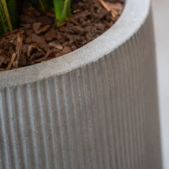 Patt High Plant Vase - Ridged Cement -Outlet The Ever Sprout Store PattHighPlantVase RidgedCement 3