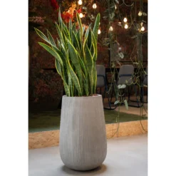 Patt High Plant Vase - Ridged Cement -Outlet The Ever Sprout Store PattHighPlantVase RidgedCement 5