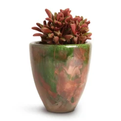 Peperomia Graveolens - Ruby Glow Radiator Plant -Outlet The Ever Sprout Store Peperomia graveolens Ruby Glow Radiator Plant 10.5x17cm Livin Beauty Flowerpot Copper Green Matt Smooth 15x17cm