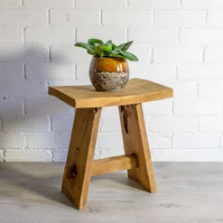 Peperomia Obtusifolia Green - Baby Rubber Plant -Outlet The Ever Sprout Store Peperomia obtusifolia Green Baby Rubber Plant Lindy Plant Pot Ochre natural 978ef1eb d744 49c1 9685 8b4f8bafe28b