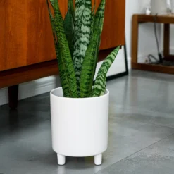 Pisa Plant Pot - White -Outlet The Ever Sprout Store Pisa Plant Pot White 20 x 24cm