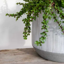 Harith Plant Pot - Ridged White Stripe -Outlet The Ever Sprout Store Ridged Harith Plant Pot White Stripe Close Up