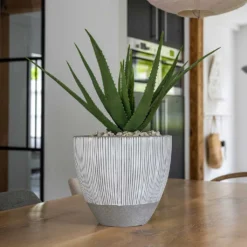 Jesslyn Plant Pot - Ridged White Stripe 16 Jesslyn Plant Pot - Ridged White Stripe -Outlet The Ever Sprout Store Ridged Jesslyn Plant Pot White Stripe Aloe Vera Indoor Plant