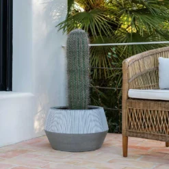 Low Harley Plant Pot - Ridged White Stripe -Outlet The Ever Sprout Store Ridged Low Harley Plant Pot White Stripe Large Cactus