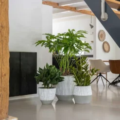 Harley Plant Pot - Ridged White Stripe -Outlet The Ever Sprout Store Ridged White Stripe Planters