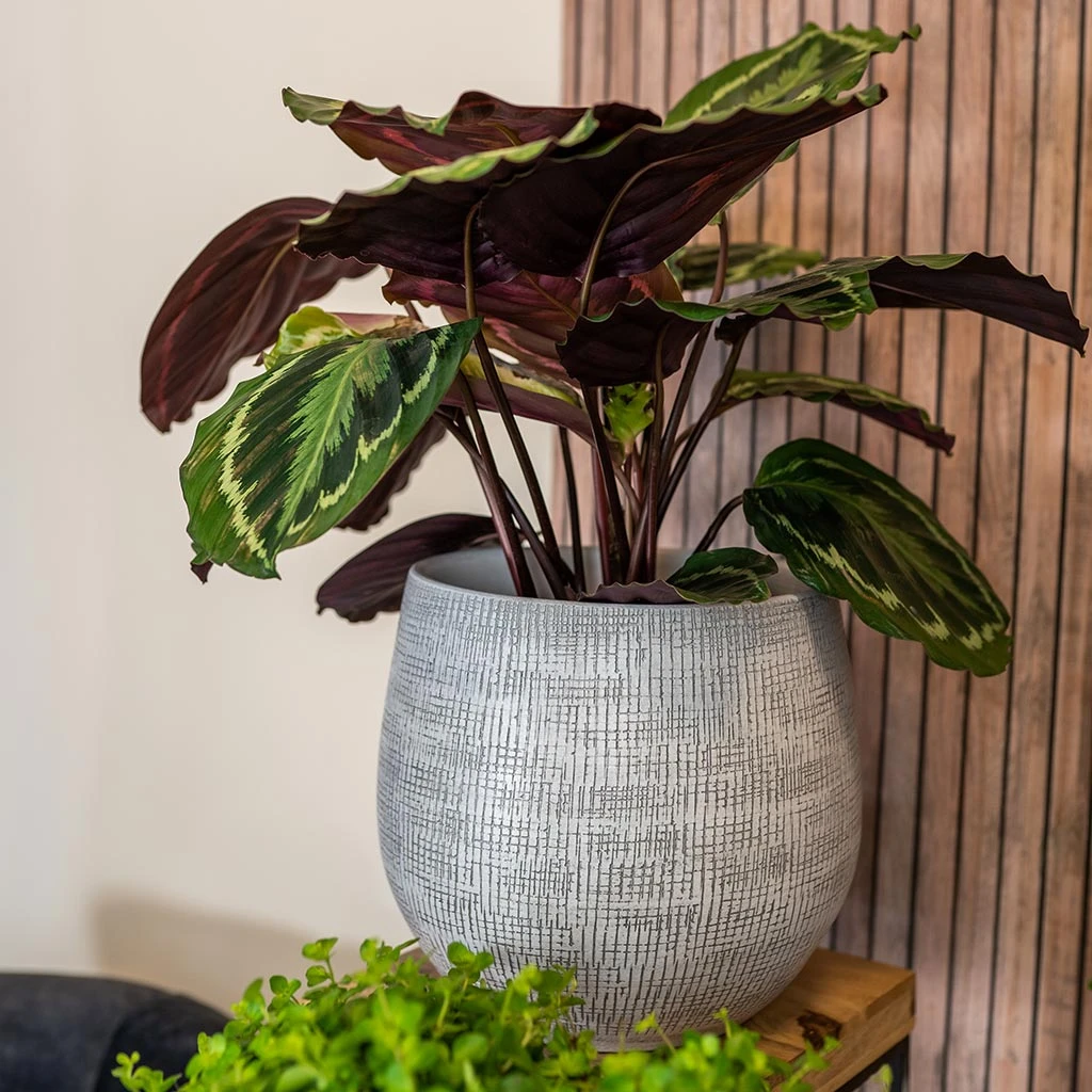 Ryan Plant Pot - White Black 2 Ryan Plant Pot - White Black - Image 2