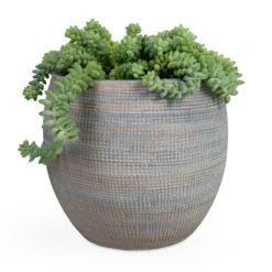 Dex Plant Pot - Earth 20 Dex Plant Pot - Earth -Outlet The Ever Sprout Store Sedum Burrito Donkey Tail 14x20cm Dex Plant Pot Earth 22x20cm