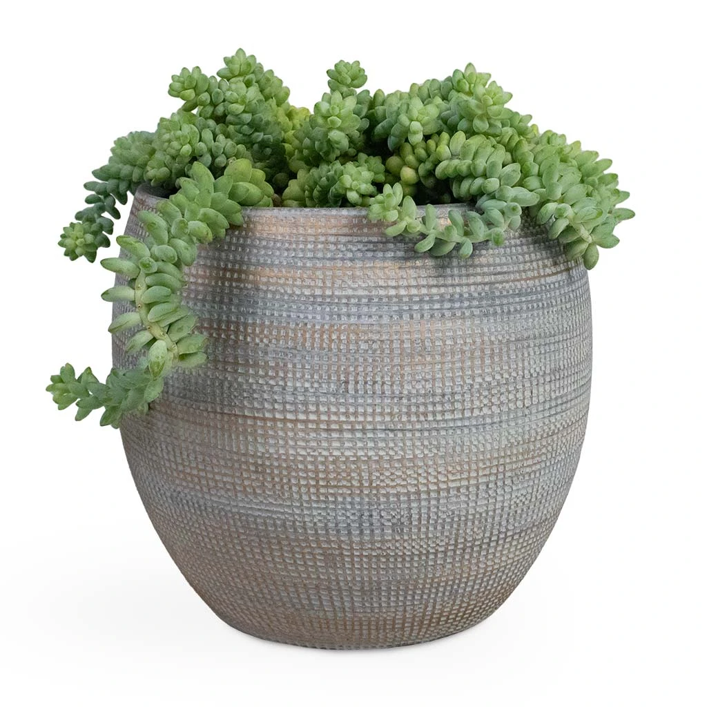 Dex Plant Pot - Earth 9 Dex Plant Pot - Earth - Image 9