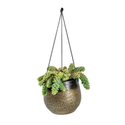 Mya Hanging Planter - Deep Champagne -Outlet The Ever Sprout Store Sedum Burrito Donkey Tail Mya Hanging Planter Deep Champagne e8ce3e30 a580 4f2d 8ee8 527acb552bed
