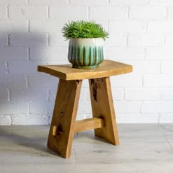 Senecio Himalaya - Himalaya Groundsel -Outlet The Ever Sprout Store Senecio Himalaya Himalaya Groundsel alice ocean plant pot natural a0e2c2c9 2ffa 4495 a6e2 0a94fbfddd15