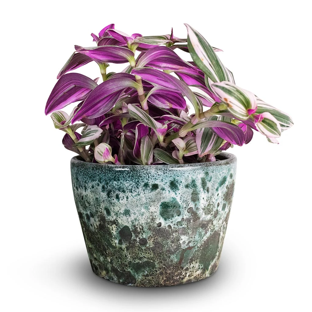 Lava Couple Straight Relic Planter - Jade 2 Lava Couple Straight Relic Planter - Jade - Image 2