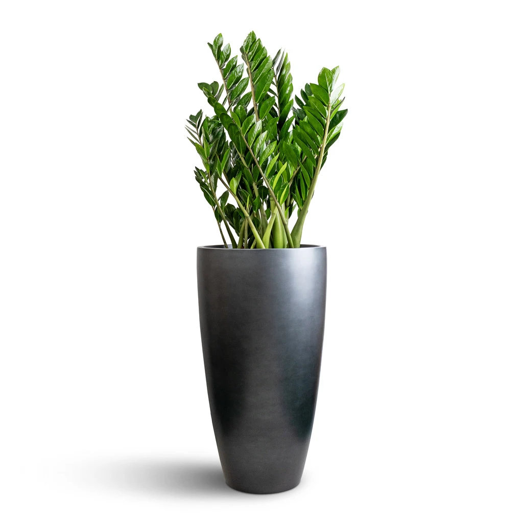 Gradient Partner Planter - Matt Grey 2 Gradient Partner Planter - Matt Grey - Image 2