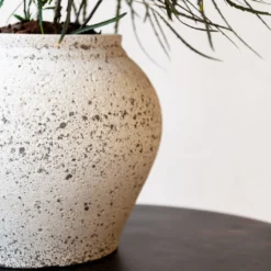 Zeus Mediterranean Planter - Chalk White -Outlet The Ever Sprout Store Zeus Mediterranean Planter Chalk White Lifestyle