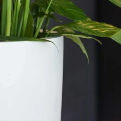 Ben Essentials Planter - Matt White -Outlet The Ever Sprout Store ben indoor planter essential matte white close up