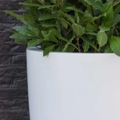 Ben Essentials Planter - Matt White -Outlet The Ever Sprout Store ben planter essential matte white close up
