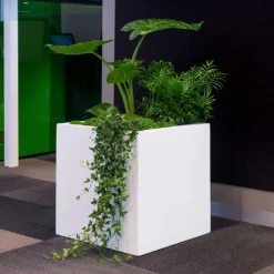 Block Essentials Planter - Matt White 15 Block Essentials Planter - Matt White -Outlet The Ever Sprout Store block planter essential matte white indoor plants