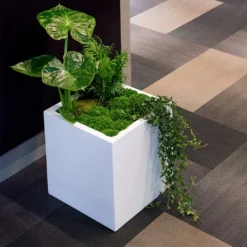 Block Essentials Planter - Matt White 13 Block Essentials Planter - Matt White -Outlet The Ever Sprout Store block planter essential matte white indoor plants cube
