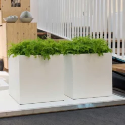 Block Essentials Planter - Matt White 16 Block Essentials Planter - Matt White -Outlet The Ever Sprout Store block planters essential matte white indoor ferns