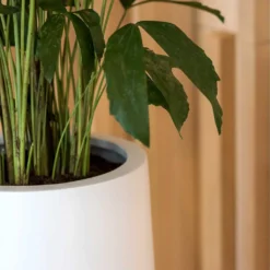 Nax Essentials Tall Planter - Matt White -Outlet The Ever Sprout Store nax planter essential matte white edge