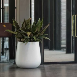 Pax Essentials Planter - Matt White 11 Pax Essentials Planter - Matt White -Outlet The Ever Sprout Store pax planter essential matte white office plants