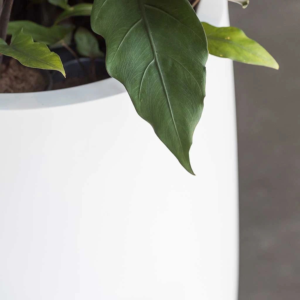 Pax Essentials Planter - Matt White 2 Pax Essentials Planter - Matt White - Image 2